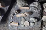 Archäologische Funde im Museum, archäologische Stätte Tehuelche, Walichu, Argentinien.