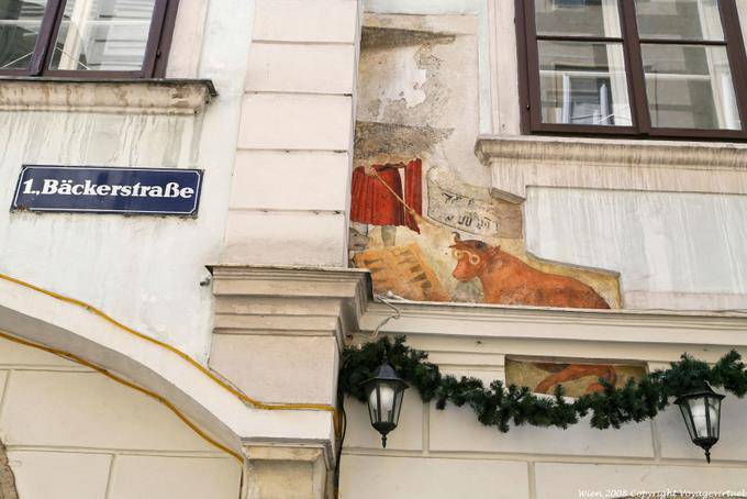 Backer, Stier Brillen - Wien - Österreich