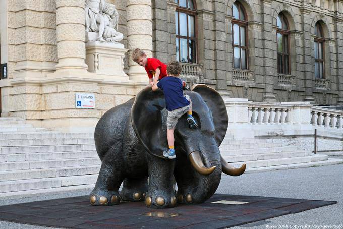 Naturhistoriches Museum, klettern auf Elefanten - Wien - Österreich