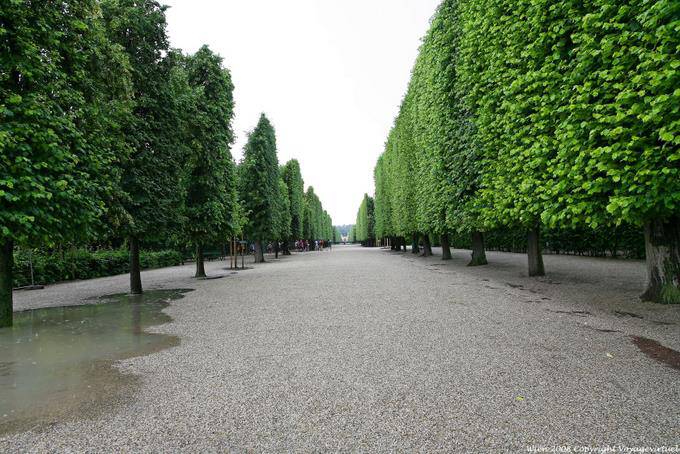 Schönbrunn, Auffahrt von hohen grenzt - Wien - Österreich