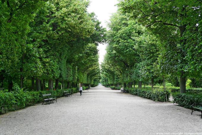 Schönbrunn Hietzinger Tor Auffahrt - Wien - Österreich