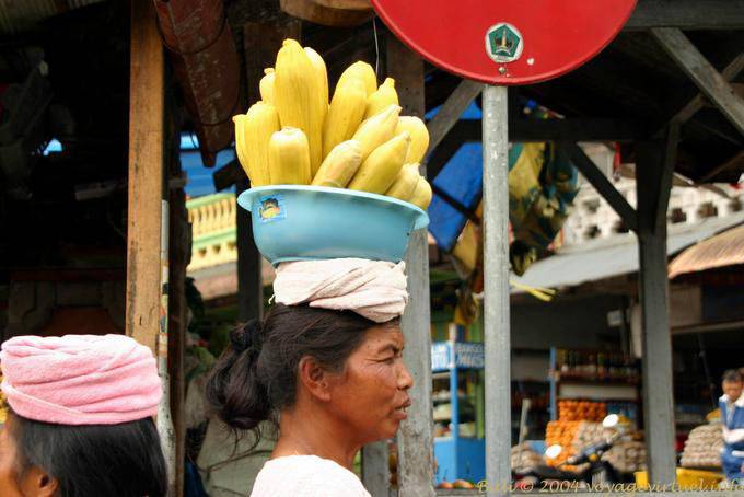Candidasa Maiskolben auf den Kopf - Bali