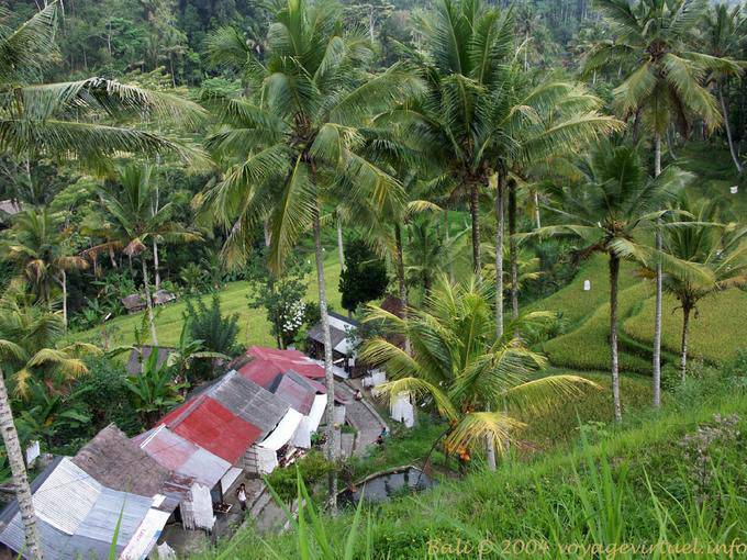 Top-Blick auf Gunung Kawi - Bali