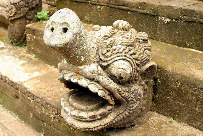 Bust Schweinenase, Pura Kehen - Bali