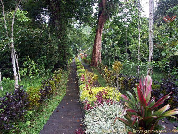 Im Garten, Luhur Batukaru. - Bali