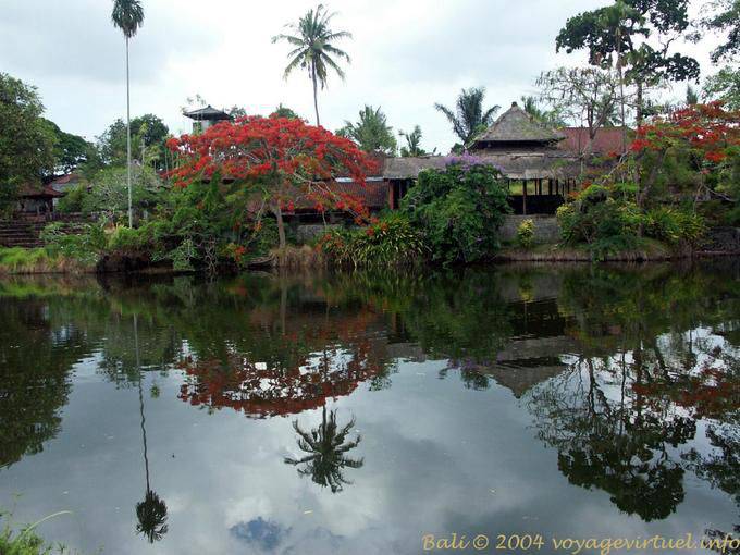 Spiegelung im See, Mengwi Taman Ayun - Bali