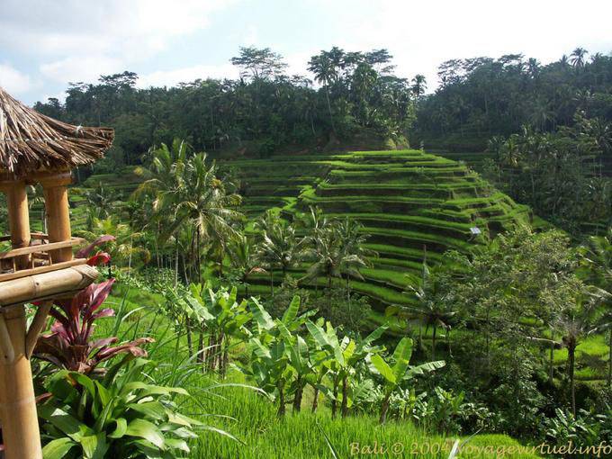 Landschaft Gunung Kawi - Bali