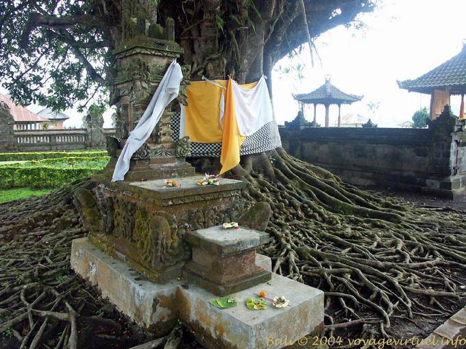 Petit autel sous arbre géant Pura Bratan Ulundanu Bali 