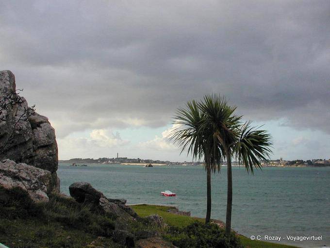 Mediterrane Vegetation, Bénodet, Bretagne - Frankreich