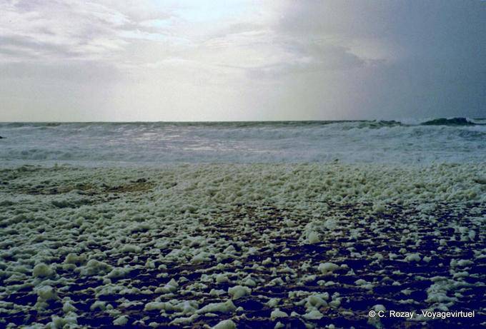 Scum Feld, Quiberon, Bretagne - Frankreich