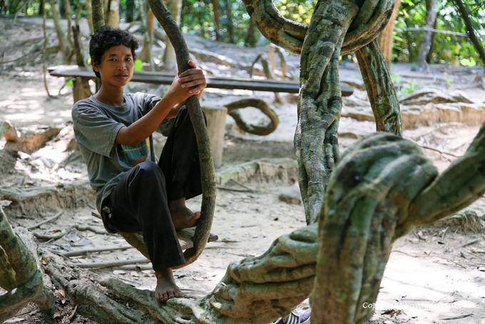Kbal Spean, Natur Schaukel, Angkor, Kambodscha