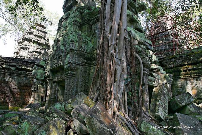 Datenschutz Architektur und Natur zu Ta Prohm, Angkor, Kambodscha