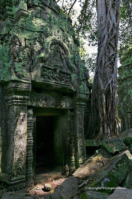 Pediment einer Tür, Ta Prohm, Angkor, Kambodscha