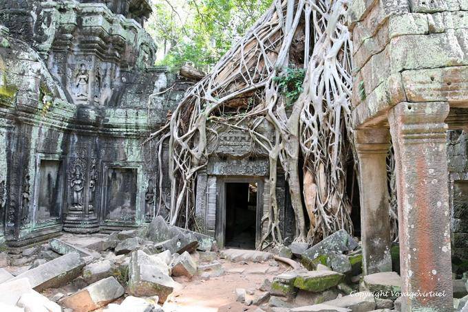 Tangled Wurzeln an der Tür, Ta Prohm-, Angkor, Kambodscha