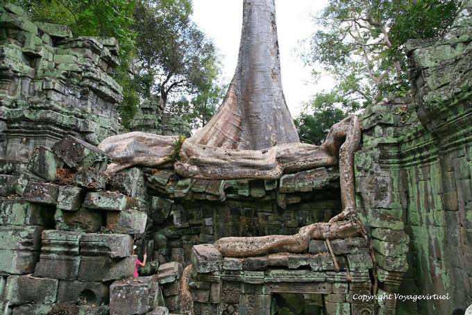 Invasion radikale, Ta Phrom, Angkor, Kambodscha