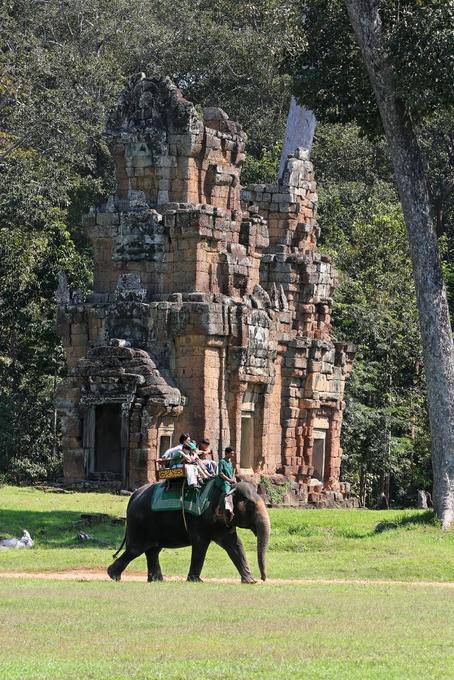 Elefant auf der Esplanade des Place du Palais Royal, Angkor Thom, Angkor, Kambodscha