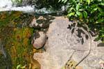 Carving torrent, Kbal Spean Website, Kambodscha.
