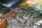 Kbal Spean, Fluss mit Linga, Kambodscha.