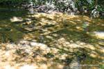 Kbal Spean, Transparenz in Torrent, Kambodscha.