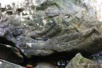 Vishnu, der auf dem Urmeer, Kbal Spean, Kambodscha.