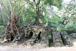 Mischung aus Ruinen und Bäume ranken Wurzeln, Prasat Thom Manon, Kambodscha.