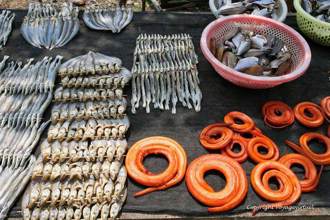 Mekong Fisch-Spieße und Aale, Phumi Chhlong - Kambodscha