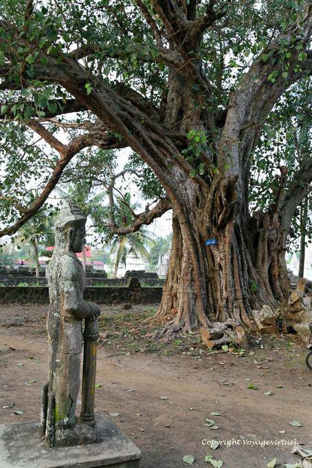 Hütergottheit (Dvarapala) unter dem riesigen Baum, Wat Nokor, Kampong Cham - Kambodscha