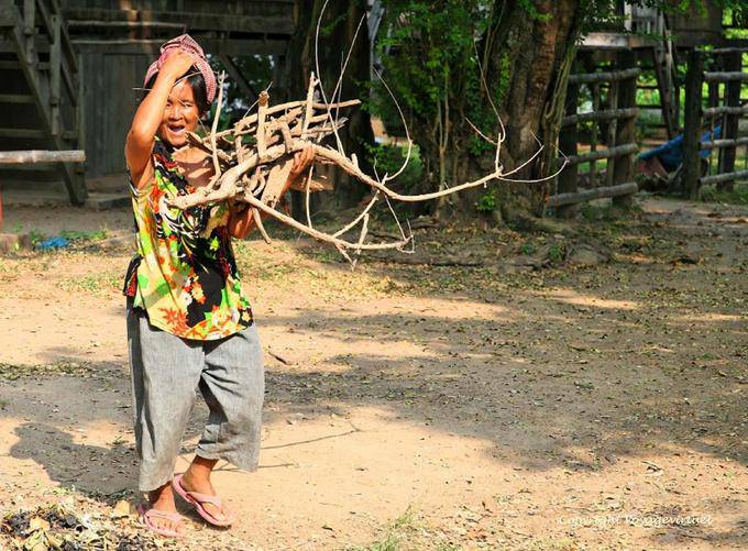 Lachen des kambodschanischen Buchholz, Roka Kandal Kracheh (Kratie) - Kambodscha