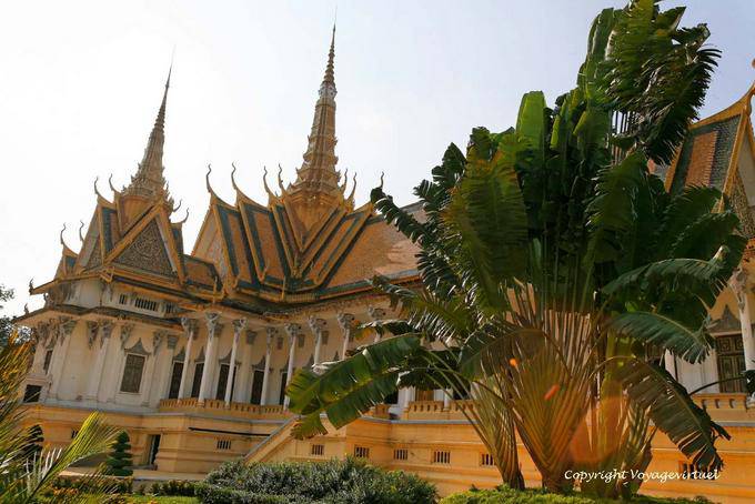 Baum im Garten des Königspalastes, Phnom Penh für Reisende - Kambodscha