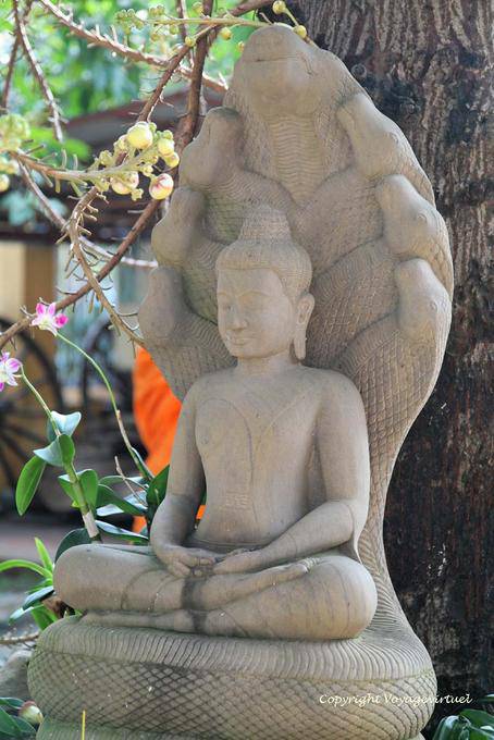 Die Naga Buddha im Lotussitz, Wat Preah Keo, Phnom Penh - Kambodscha
