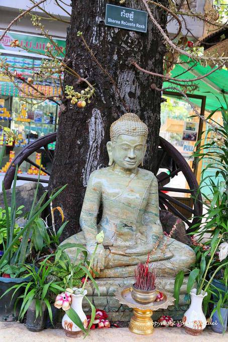 Buddha unter einem sal Salbaum Roxb oder Wat Preah Keo, Phnom Penh - Kambodscha