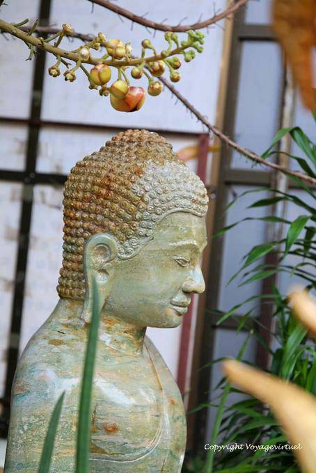 Buddha Profil und Früchte sal, Wat Preah Keo, Phnom Penh - Kambodscha