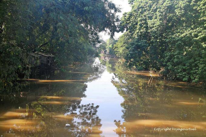Vegetation, Licht und Schatten auf dem Fluss Siem Reap - Kambodscha
