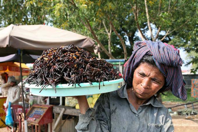 Skun, lokale Spezialität, schwarze Vogelspinnen frites (Aping) - Kambodscha