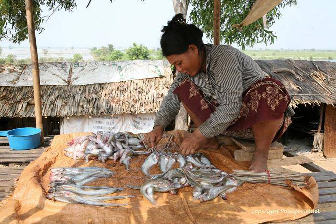 Vorbereitung der Fisch-Spieße, Kaoh Chen - Kambodscha