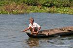 Dünner werdendes Haar Farbe für dieses Landratte, Tonle Sap, Kambodscha.