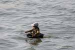 Mädchen begab sich auf einem kleinen Boot, Tonle Sap, Kambodscha.
