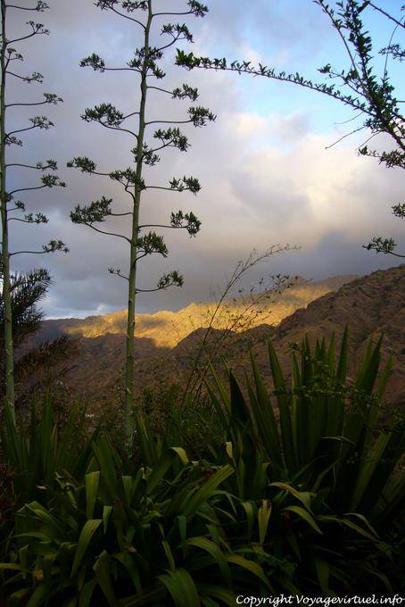 Santo Antão, Pedracin, Aloe Abend - Kap Verde