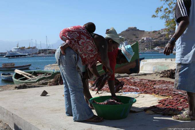 São Vicente, Mindelo Fischereihafen, Fischtrio - Kap Verde