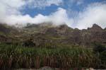 Santo Antão, Paúl, Berg Zuckerrohr, Kap Verde.