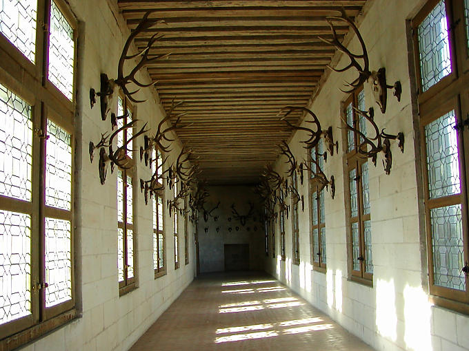 Jagdtrophäen, Chambord, Frankreich.