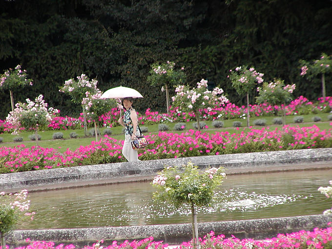 Weg im Garten von Catherine, Chenonceau, Frankreich.