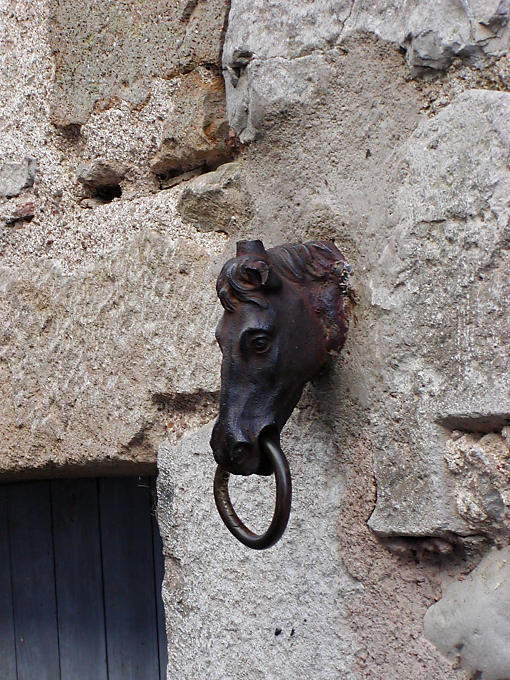 Pferd wird an einer Wand, Vézelay, Frankreich.