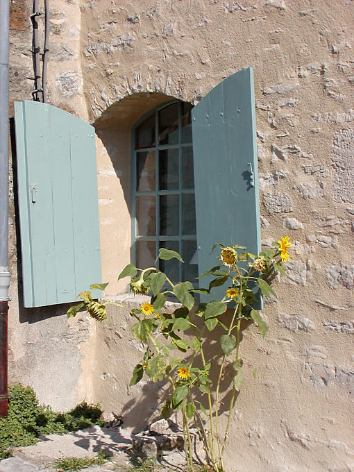 Sonnenblumen auf einer Straße in Vézelay, Frankreich.