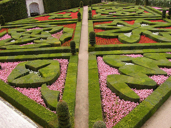 Liebe Leidenschaftliche, Ziergarten, Château de Villandry, Frankreich.