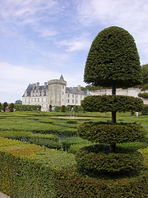 Topiary Garden Ornament, Blick aus dem zweiten Raum, Château de Villandry, Frankreich.