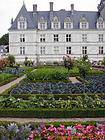 Kohl und Tomaten zwischen den Rosen, Villandry, Frankreich.