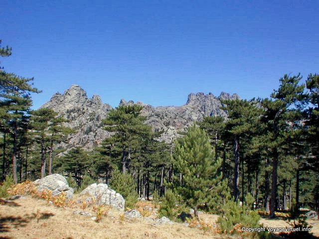 Bavella Korsika immer ...