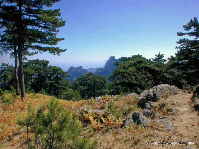 Korsischen Macchia und Berg, Korsika