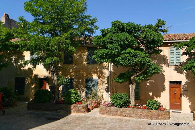 Bäume in der Rue Neuve, Gassin, Provence, Frankreich